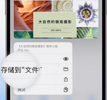 安塞apple维修中心分享iPhone文件应用中存储和找到下载文件