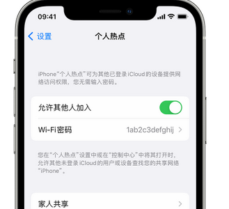 安塞apple服务站点分享iPhone上个人热点丢失了怎么办 