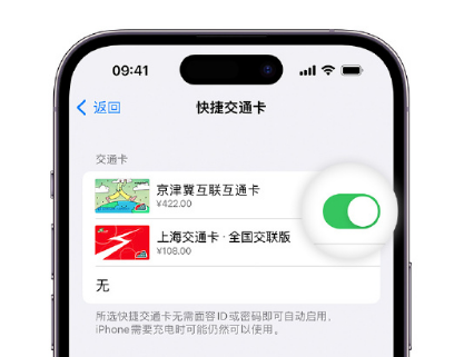 安塞apple维修点分享iPhone上更换Apple Pay快捷交通卡手绘卡面 