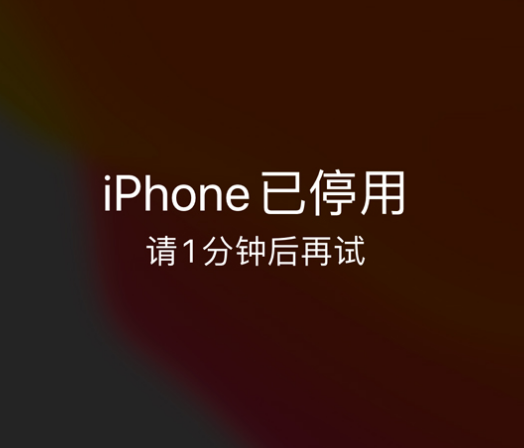 安塞苹果手机维修分享:iPhone 显示“不可用”或“已停用”怎么办？还能保留数据吗？ 