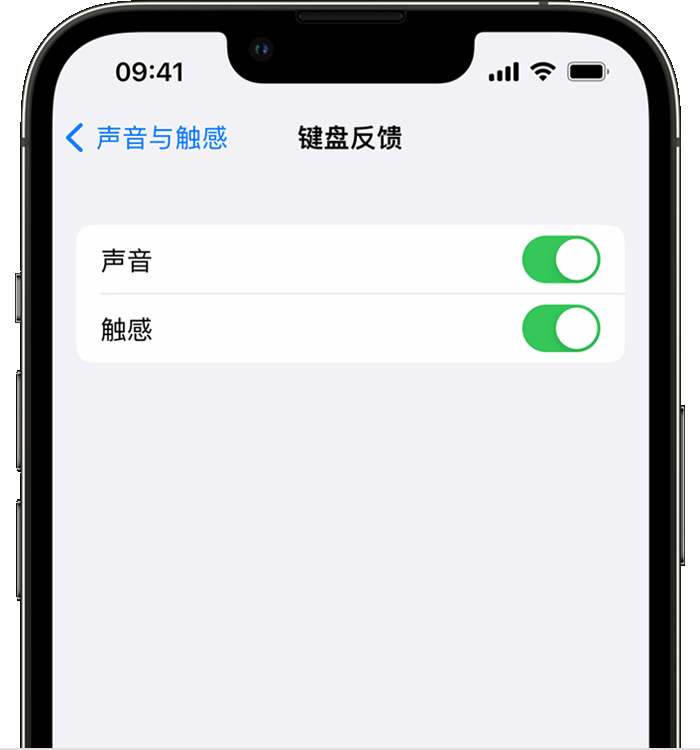 安塞苹果14维修店分享如何在 iPhone 14 机型中使用触感键盘 