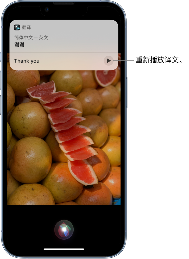 安塞苹果14维修分享 iPhone 14 机型中使用 Siri：了解 Siri 能帮你做什么 