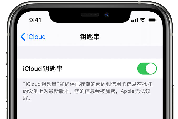 安塞苹果手机维修分享在 iPhone 上开启 iCloud 钥匙串之后会储存哪些信息 