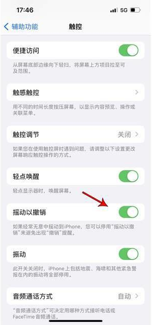 安塞苹果手机维修分享iPhone手机如何设置摇一摇删除文字 